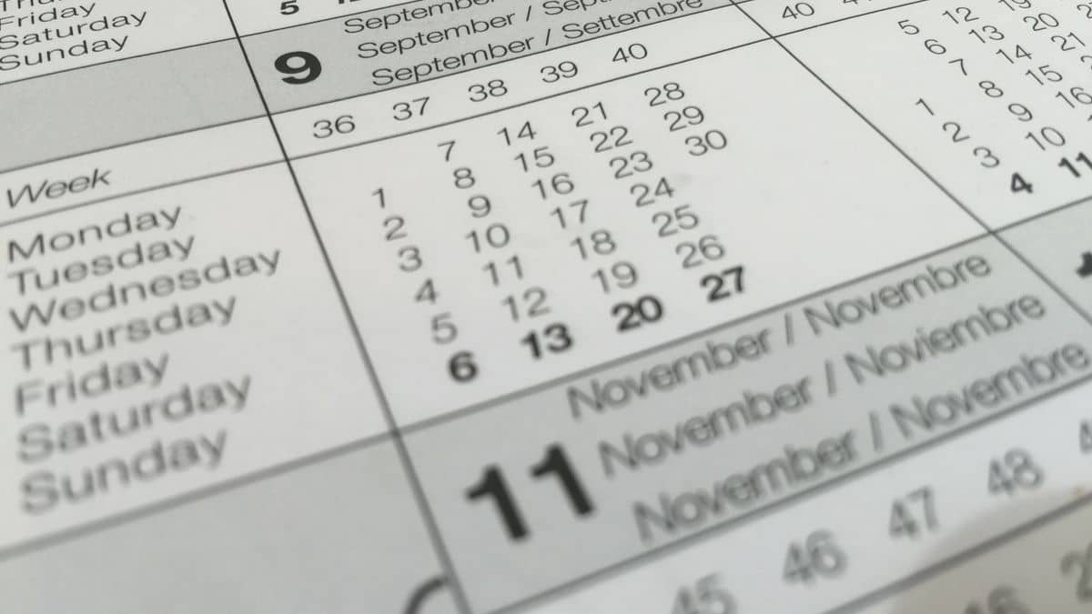 A calendar marking dates, representing what happens when a domain expires