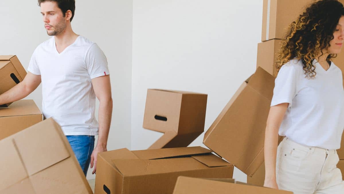 Carrying moving boxes, symbolising transferring a domain to a new registrar
